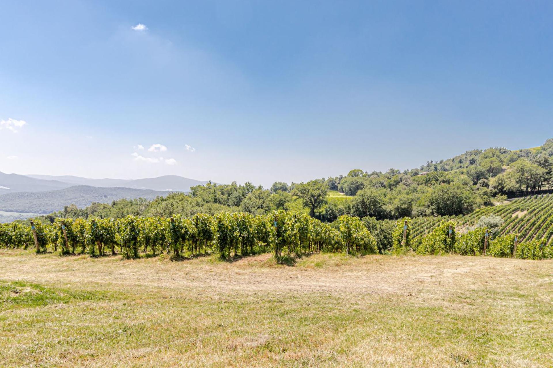 Chateau La Siroque Montecatini Val di Cecina Exterior foto